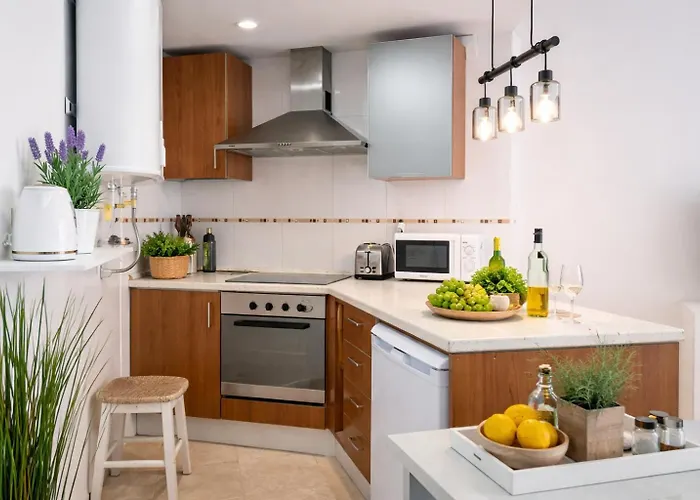 Noctua 020 Centro 3 Estepona